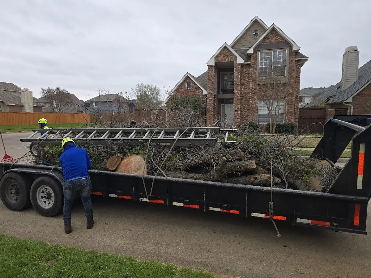 Expert Tree Fertilization with proper safety equipment in Hoopa